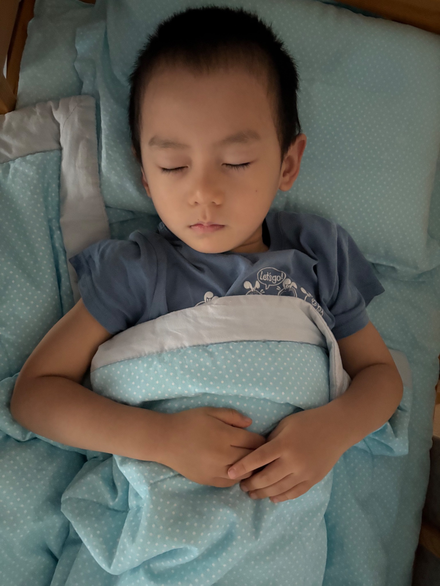 B02A998C 1211 4CAC A8A5 9842E506EDF6 49295 000006FA891D8461